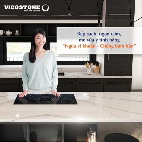 CẢNH BÁO CHO NHỮNG AI ĐANG CÓ Ý ĐỊNH SỬ DỤNG ĐÁ VICOSTONE