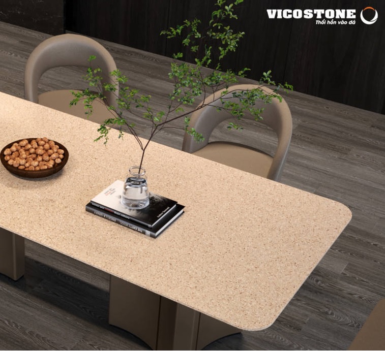 Vicostone BQ9290